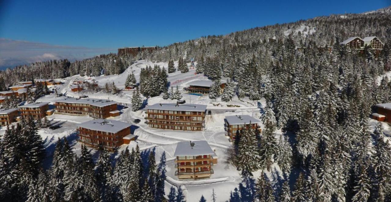 Le Cocon 4 Saisons A Chamrousse 1700 - Droseras A14 - Les Villages Du Bachat Exterior foto